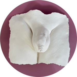 Lichaamsafdruk penis