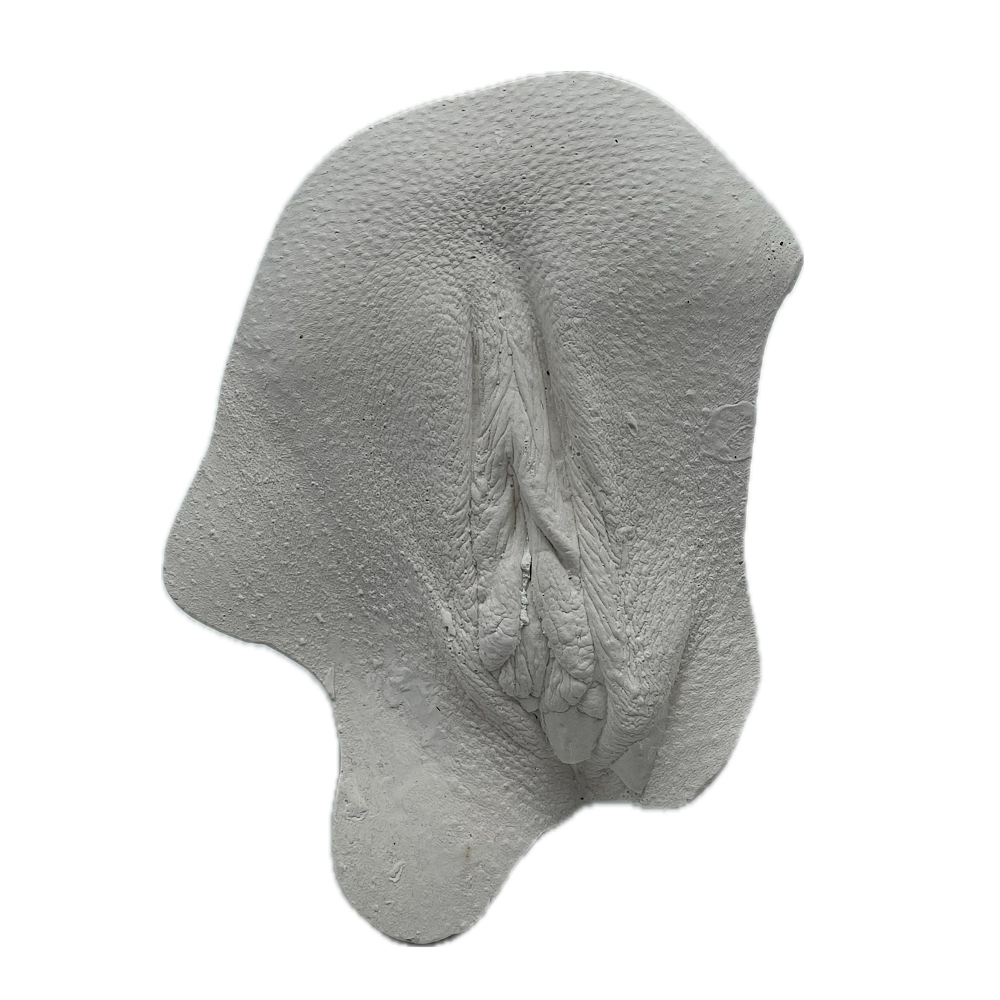 Lichaamsafdruk vulva - Afbeelding 3