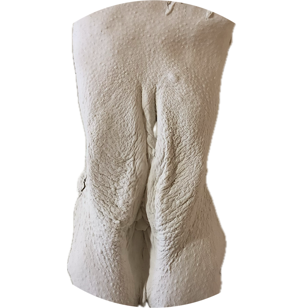 Lichaamsafdruk vulva - Afbeelding 6