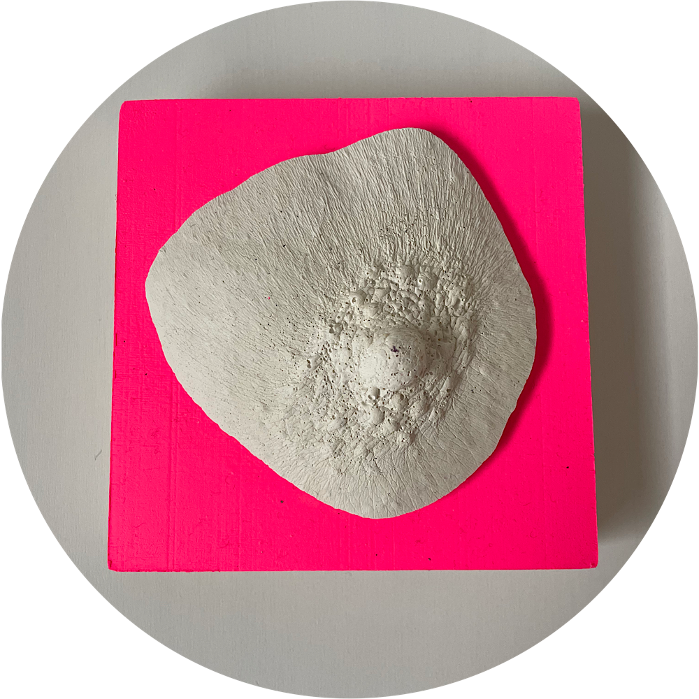 Borstbordje wit op roze
