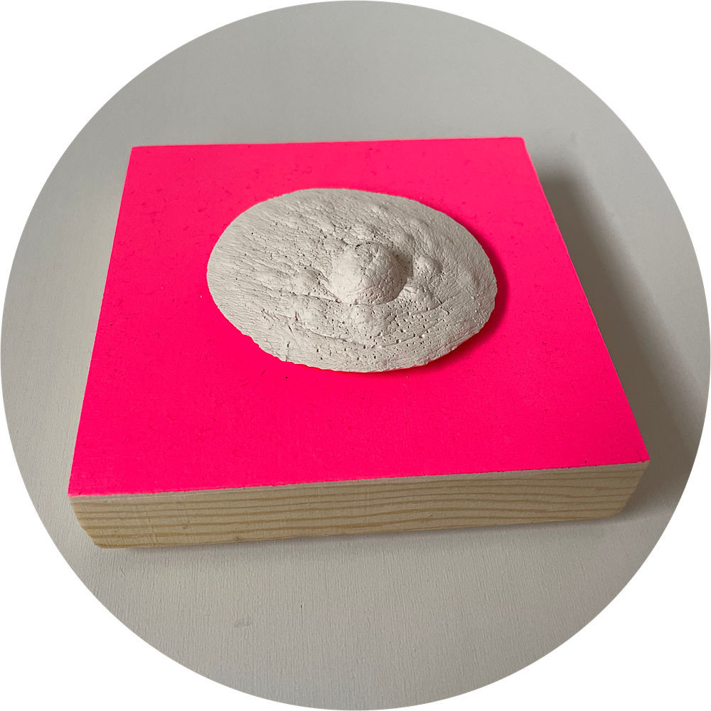 Borstbordje wit op roze - Afbeelding 2