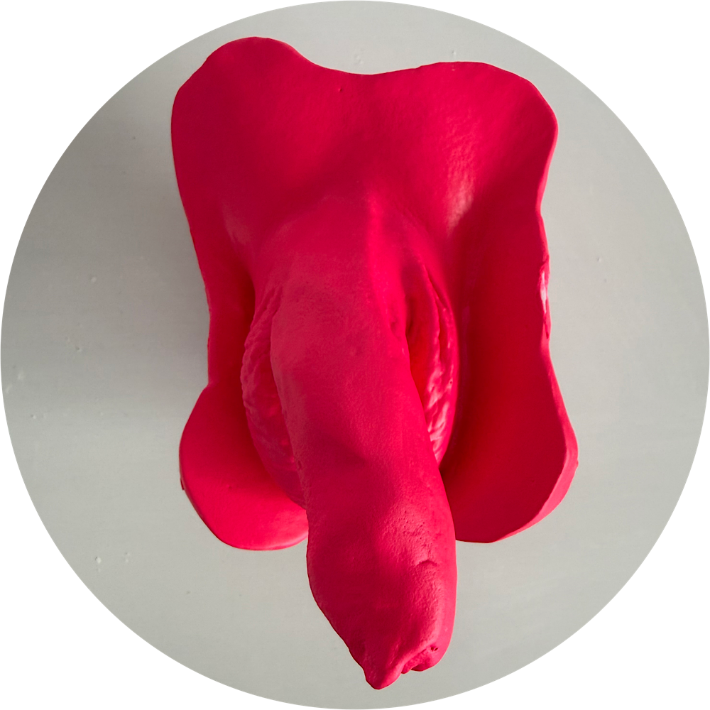 Lichaamsafdruk penis - Afbeelding 2