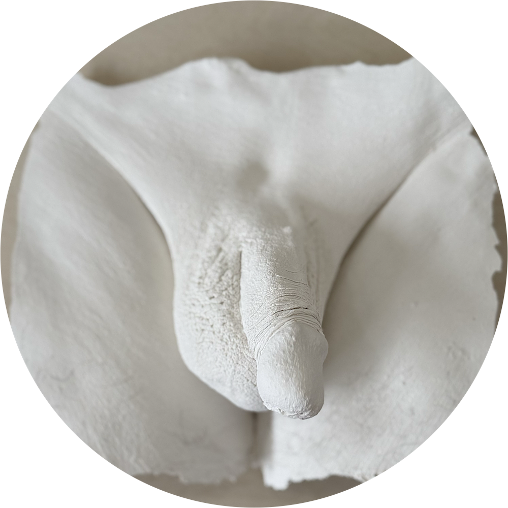 Lichaamsafdruk penis - Afbeelding 3