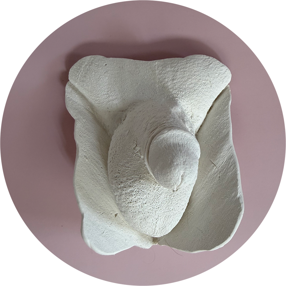 Lichaamsafdruk penis - Afbeelding 6