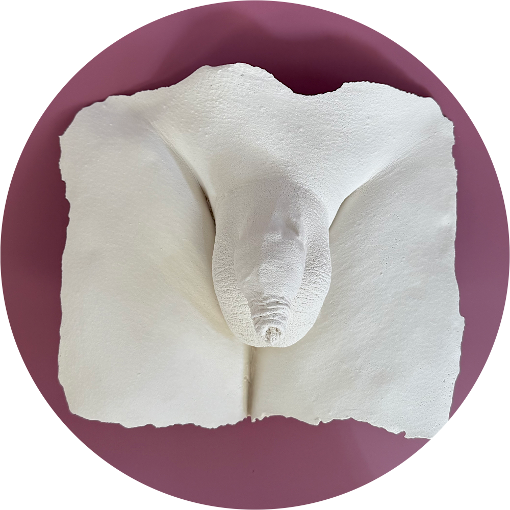 Lichaamsafdruk penis